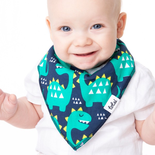 Dinosaur baby hot sale bibs